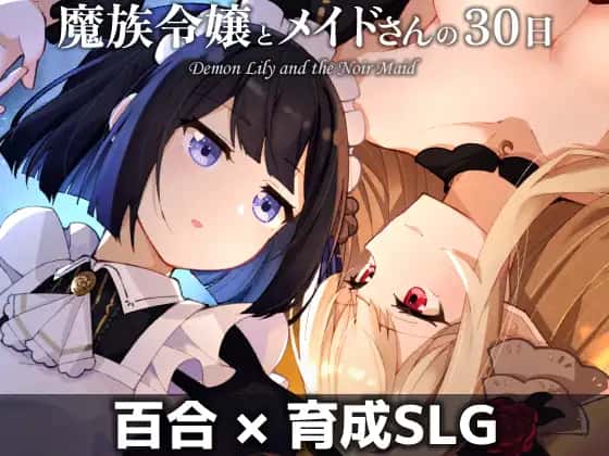 视觉数据2